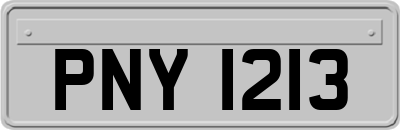 PNY1213