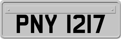 PNY1217