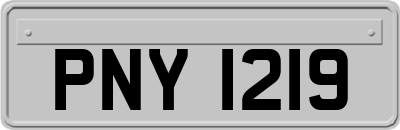 PNY1219