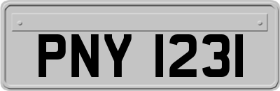 PNY1231