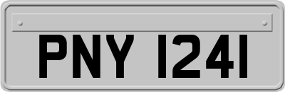 PNY1241