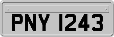 PNY1243