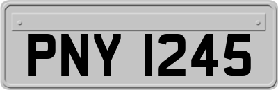 PNY1245