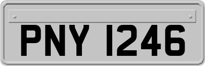 PNY1246