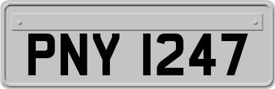 PNY1247