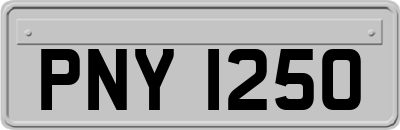 PNY1250
