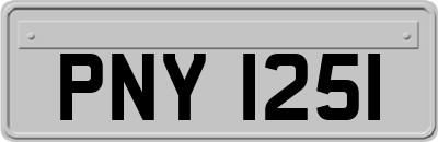 PNY1251