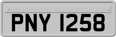 PNY1258