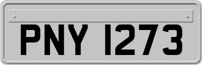 PNY1273