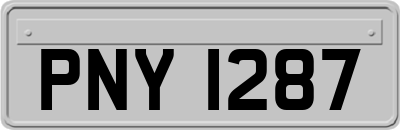 PNY1287