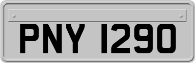 PNY1290
