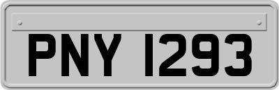 PNY1293