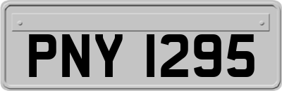 PNY1295