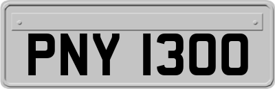PNY1300