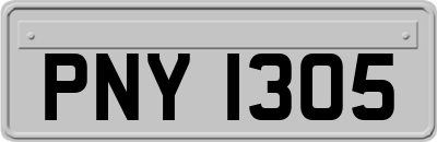 PNY1305
