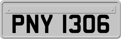 PNY1306