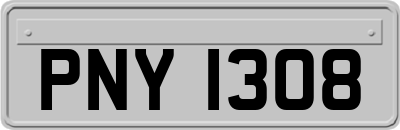 PNY1308
