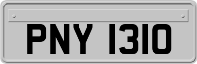 PNY1310