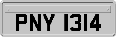 PNY1314