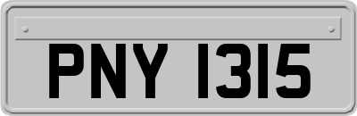 PNY1315
