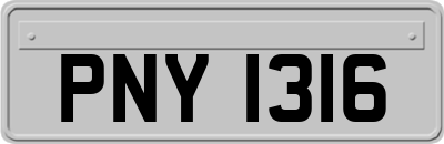 PNY1316