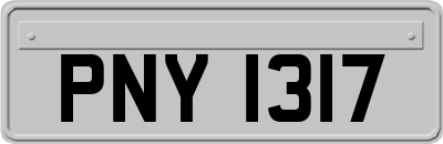 PNY1317