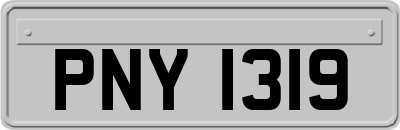 PNY1319