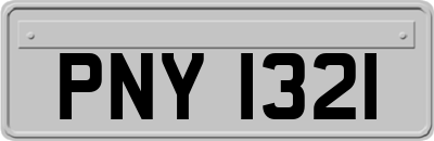 PNY1321