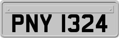 PNY1324