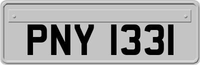 PNY1331