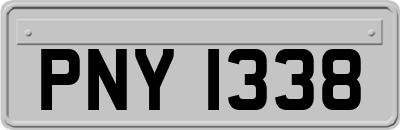PNY1338