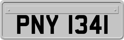 PNY1341