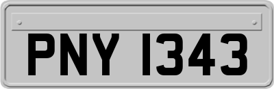 PNY1343