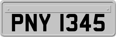 PNY1345