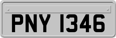 PNY1346