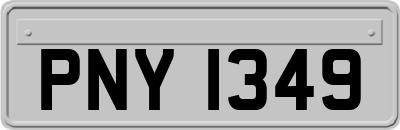 PNY1349