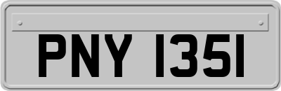 PNY1351