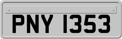 PNY1353