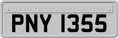 PNY1355