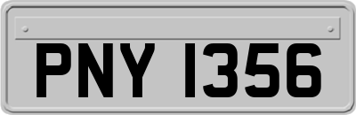 PNY1356