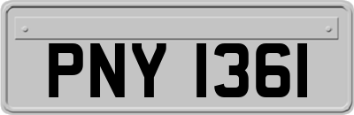 PNY1361