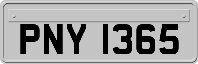 PNY1365