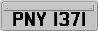 PNY1371