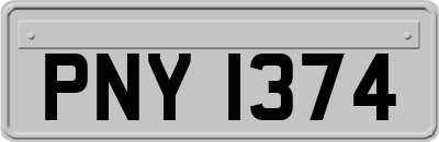 PNY1374