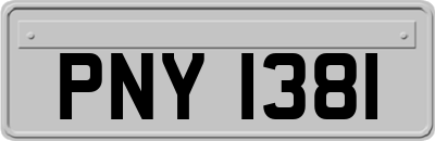 PNY1381