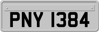 PNY1384