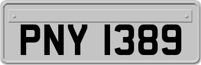 PNY1389