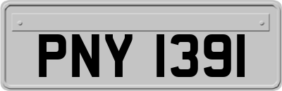 PNY1391