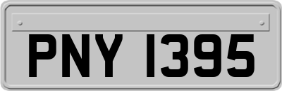 PNY1395