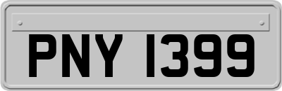 PNY1399